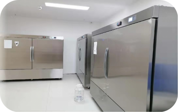 揭秘廣漢三星堆：博物館里的千古之謎！